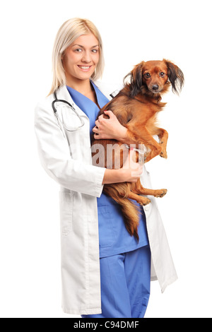 A smiling female veterinarian holding a puppy Stock Photo