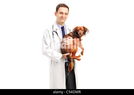 A smiling veterinarian holding a puppy Stock Photo