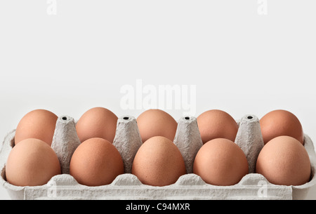 Close up detail of a cardboard box of ten brown chicken eggs on a light grey  background Stock Photo