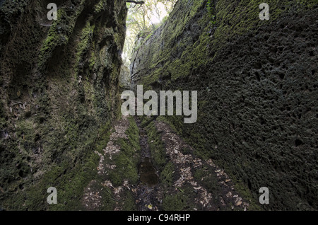 Cava Buia or 'Dark Cave', suggestive 'etruscan cut'. Norchia, central Italy. Stock Photo