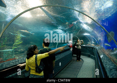 Sentosa Island - Underwater World / walkthro' tube Stock Photo