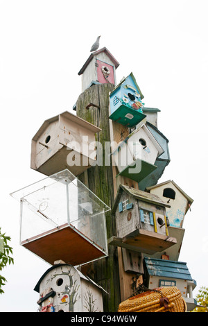 pole with birdhouse Stock Photo