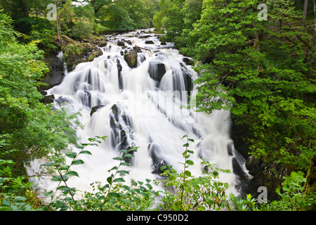 Betws-y-Coed Waterfalls in Snowdonia, North Wales Stock Photo