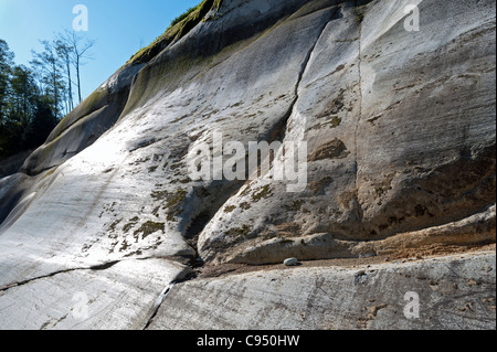 Rock and dry grass Stock Photo