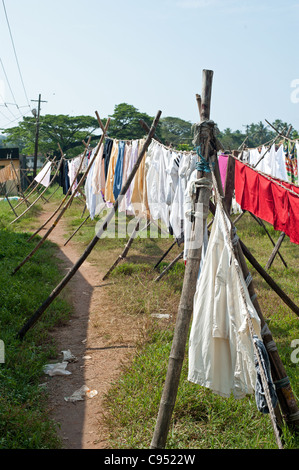 Clothesline Stock Photo