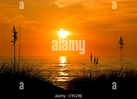 Sea oats sunrise, Outer Banks, North Carolina, USA Stock Photo