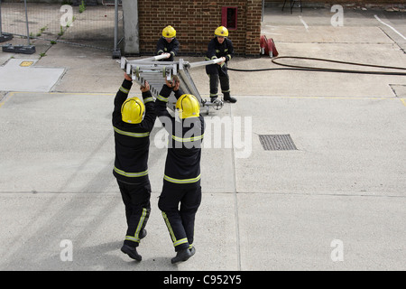 Firefighters carrying a ladder during a training exercise. Stock Photo