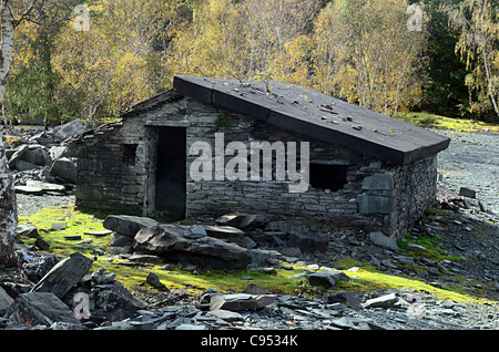 Derelict Slate Cottage Stock Photo