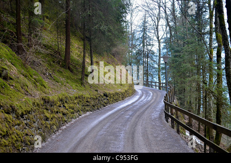 An empty road winds its way through the forest just outside the village of Wengen in Switzerland. Stock Photo