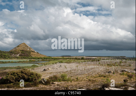 An old china clay pit and spoil heap above St Austell, Cornwall, UK. Tree saplings have been planted to help reclaim the site Stock Photo