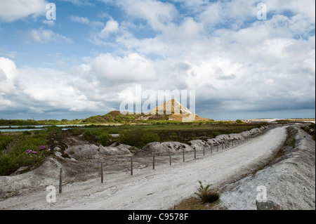 An old china clay pit and spoil heap above St Austell, Cornwall, UK. The site is slowly being reclaimed by nature Stock Photo
