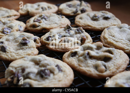 Chocolate chip cookies cooling on a rack. Stock Photo