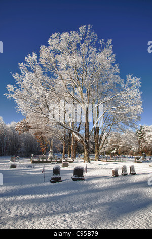 A late October snow storm covered trees and gravestones in this cemetery.