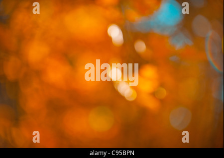 abstract orange bokeh, perfect autumn background Stock Photo