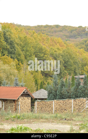 log pile in mountains, Hungary Stock Photo