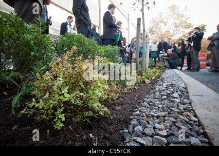 One of the new bioswales installed by the NYC Dept. of Environmental Protection Stock Photo