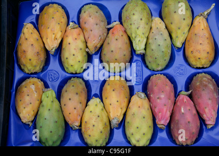 prickly pear cactus fruit Stock Photo