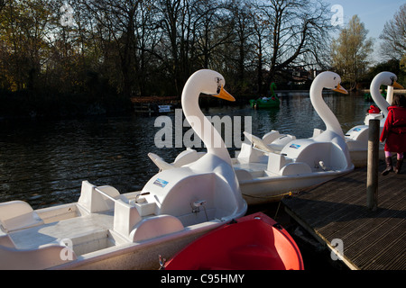 Swan shaped paddle boats on Xuan Huong lake in Da Lat ...