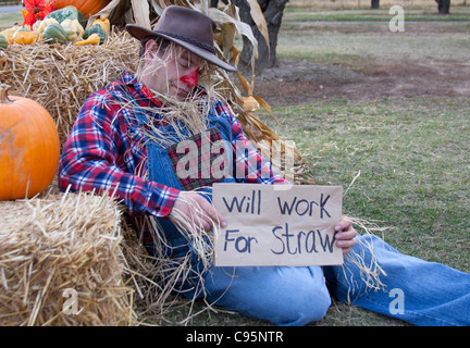 Panhandling scarecrow napping on the job. Stock Photo