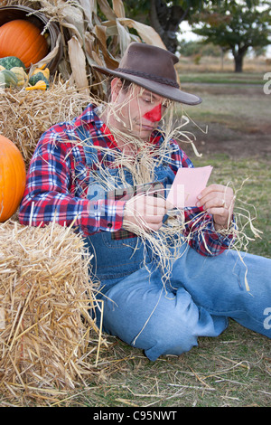 The scarecrow gets a pink slip at the end of the season. Stock Photo