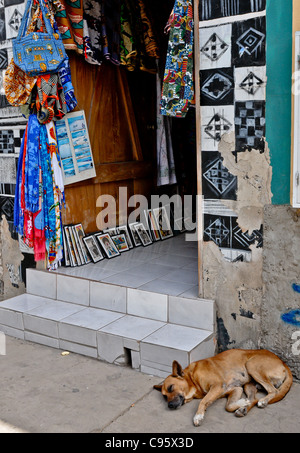A DOG RELAXES OUTSIDE SHOP IN OLD BUILDING HIGH STREET   SANTA MARIA , SAL ,CAPE VERDE , Stock Photo