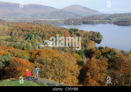 Autumn colour by Derwent Bay House, Lake District Stock Photo