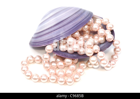 Pearl necklace inside big seashell, isolated on white Stock Photo