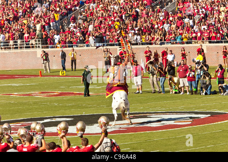 Chief Osceola, on his horse Renegade, prepare to start the football game with the flaming spear at midfield. Stock Photo