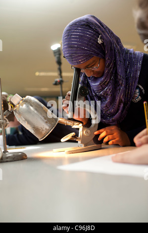 Secondary school Muslim girl looking through a microscope in a science class, Wales UK Stock Photo