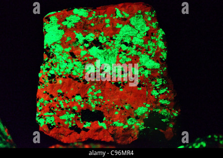 Fluorescent minerals willemite  (zinc silicate Zn2SiO4) glowing green under UV light. Calcite in red color. Stock Photo