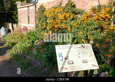 Stationmaster's orchard at the former County School railway station near North Elmham, Norfolk Stock Photo