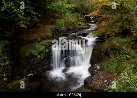 Waterfall on Torc Mountain, Kerry, in Killarney National Park, Ireland Stock Photo