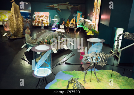 Displays in the Museum and Art Gallery of the Northern Territory ...