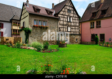 Turkenheim,Alsace,Mosel,Riesling,Gewurztraminer,Pinot Gris,Muscat,Sylvaner Grape Varieties,Wines,Vineyards,Villages,France Stock Photo