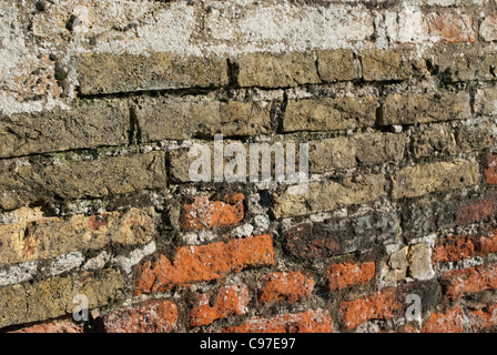 Old warn weathered red brick wall in Church Lane Ely