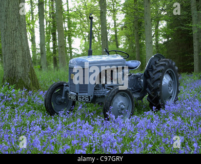 Vintage Ferguson tractor TEA20 1956 Stock Photo