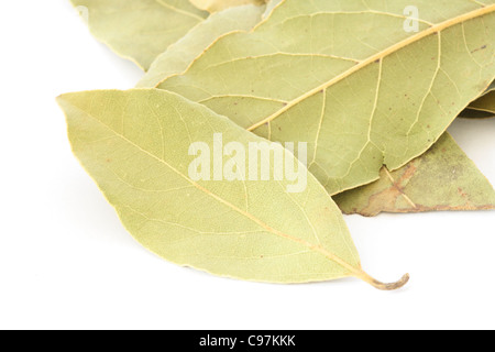 Close up of several leaves of bay leaf spice on white background Stock Photo