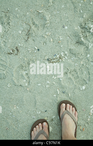 womans feet shown walking in sand in brown flip flop sandals Stock Photo