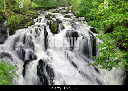 cascading waterfall in a mountain river Stock Photo