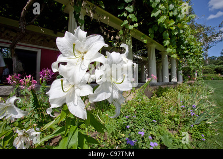 Garden at Augustus Saint-Gaudens National Historic Site Stock Photo