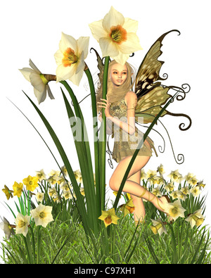 Daffodil Fairy - 2 Stock Photo
