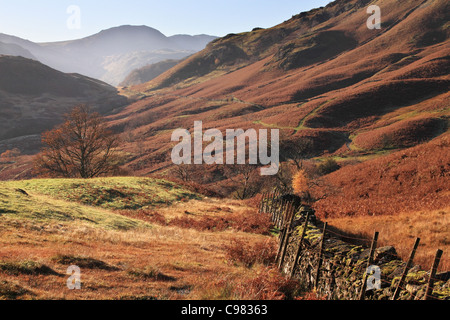 View of Borrowdale from Castle Crag in autumn.  English Lake District, Cumbria, UK Stock Photo