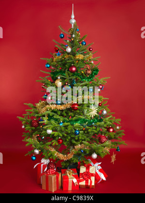 Decorated real Christmas tree isolated on red background Stock Photo