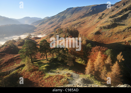 Borrowdale from Castle Crag, English Lake District, Cumbria, UK Stock Photo