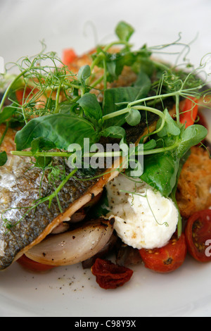 Fish and Salad dishes at the upmarket Mizlala restaurant, belonging to chef Meir Adoni, Tel Aviv, Israel. Stock Photo