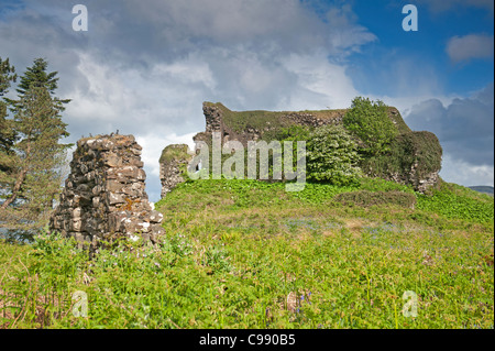 Aros Castle ruins, Isleof Mull, Scotland.  SCO 7728 Stock Photo