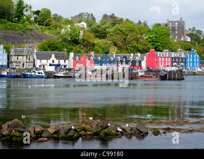 Colourful Tobermory the capital or main town on the Isle of Mull, Argyll, Scotland. SCO 7732 Stock Photo