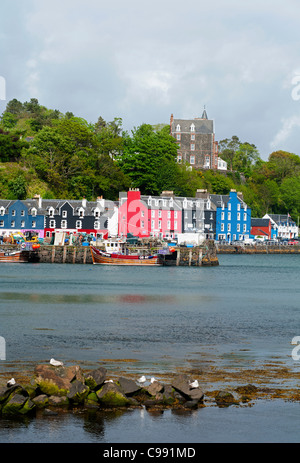 Colourful Tobermory the capital or main town on the Isle of Mull, Argyll, Scotland. SCO 7734 Stock Photo