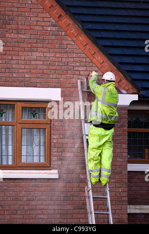 Men on Ladders  Polystyrene Bead house cavity wall insulation, Workers in safety harnesses, installing Foam Insulation in Southport, UK Stock Photo