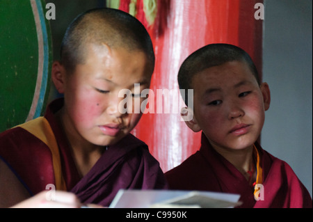 Monks praying in Shankh monastery (khiid), Mongolia Stock Photo